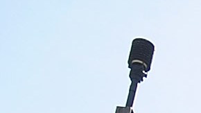 El zoo de Los Ángeles ofrece oportunidades únicas a toda la familia para disfrutar el lugar y sus animales.