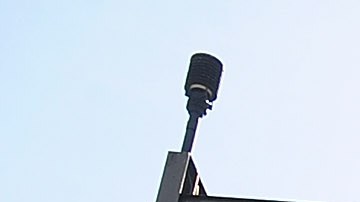 El zoo de Los Ángeles ofrece oportunidades únicas a toda la familia para disfrutar el lugar y sus animales.