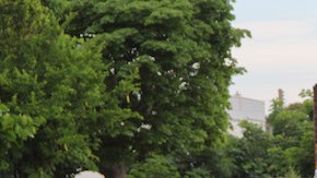 Activistas han denunciado que los migrantes son víctimas de autoridades mexicanas y de criminales.