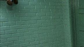 El 8 de noviembre, los californianos podrán decidir sobre el futuro de la pena de muerte.