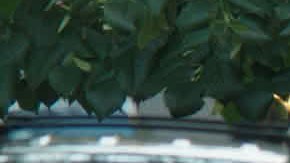 'Puerto Ricans in Paris', con Luis Guzmán (der.) es uno de los filmes latinos del certamen.