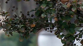 La indigencia ha ido en aumento en los últimos años.