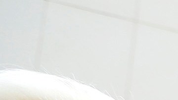 Foto de archivo de la lucha por un mejor salario en el estado.