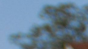 Foto de archivo. Grupos extremistas parecen multiplicarse en los últimos años en Estados Unidos.