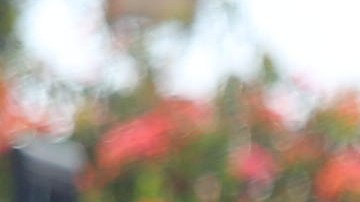 Agentes del LAPD durante simulacro de ataque.