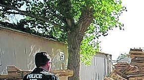 Detienen a 110 inmigrantes indocumentados en Florida