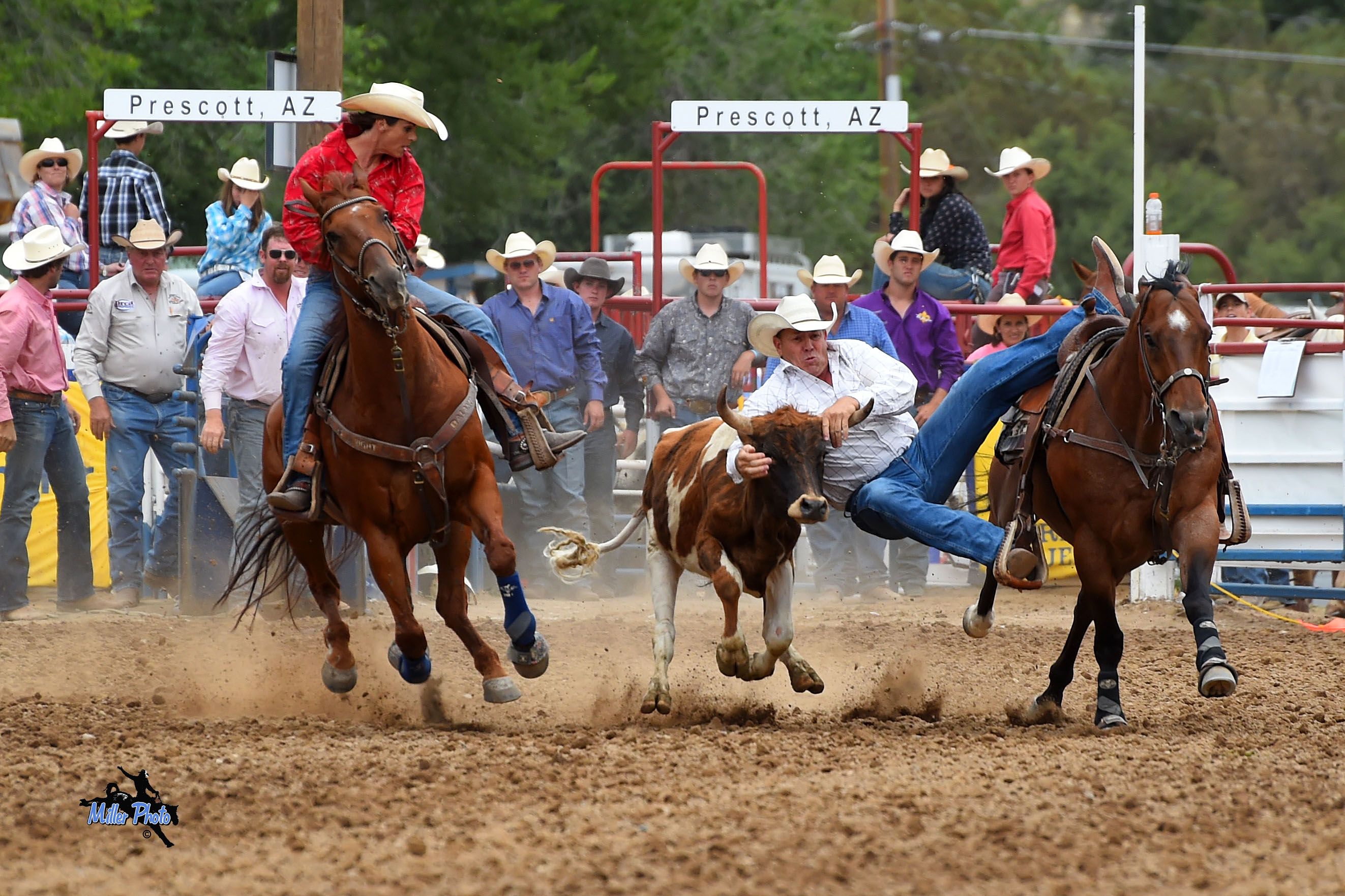 VIDEO: El rodeo más antiguo del mundo celebra el 4 de ...