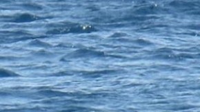 bebe rescate turquia