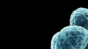 MRSA