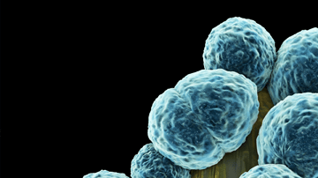 MRSA