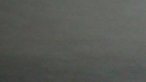 Dremers en la cancillería