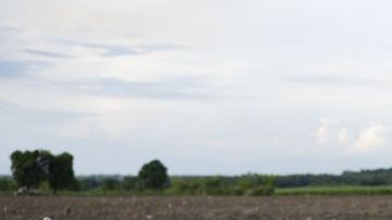 farc-10_655x438
