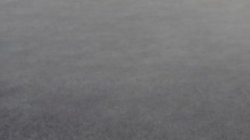 mustang apollo edition