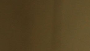 Haitians Live Precarious Existence on DR Agricultural Plantations