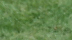 Zack Greinke ha estado brillante en sus últimos seis partidos.