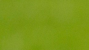 A sus 26 años de edad, Giovani dos Santos tiene mucho futbol por delante.