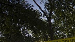 incendios charleston