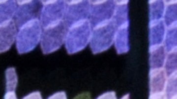 Larry Hernández actúa este fin de semana en San Manuel Indian Bingo & Casino.