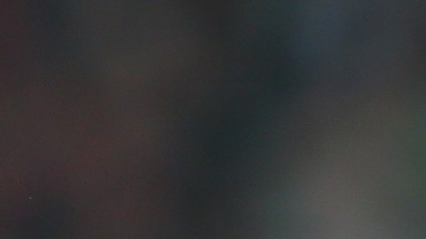 Los diablos rojos del Manchester United jugaran en el Avaya Stadium el 21 de julio.