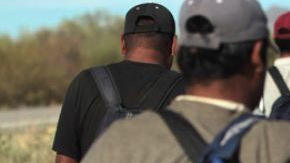migrantes_655x438