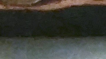 Dominicana busca explicar al Papa Francisco su política frente a inmigrantes haitianos.