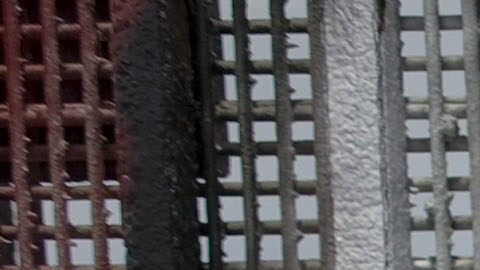 PAREJA SE SOBREPONE A DEPORTACIÓN Y SE CASAN EN MURO FRONTERIZO DE EEUU-MÉXICO