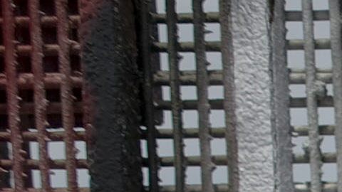 PAREJA SE SOBREPONE A DEPORTACIÓN Y SE CASAN EN MURO FRONTERIZO DE EEUU-MÉXICO