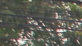 CAOS EN EL SALVADOR POR PARO DE TRANSPORTISTAS AMENAZADOS POR PANDILLAS