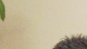 El abogado Luis Carrillo y la madre de Pérez durante el anuncio de la demanda contra la ciudad de Pasadena.