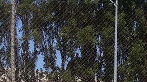 Román Meléndez en una práctica de softbol en Lompoc.