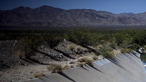 El sector agrícola aún se niega a acoplarse con las medidas restrictivas en California.