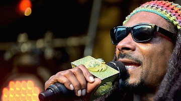 No es la primera vez que Snoop Dogg muestra su preferencia por la música de banda.