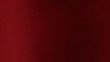 Cortines admitió haber tenido una relación sexual con su subordinado.