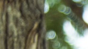 Personas se refrescan en el parquet Salazar.