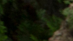 Más de 550,000 alumnos del LAUSD regresaron a clases este martes para un Nuevo año escolar.