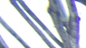 Patricia Franco y sus hijos ahora deambulan por las calles de Skid Row en el centro de Los Ángeles.