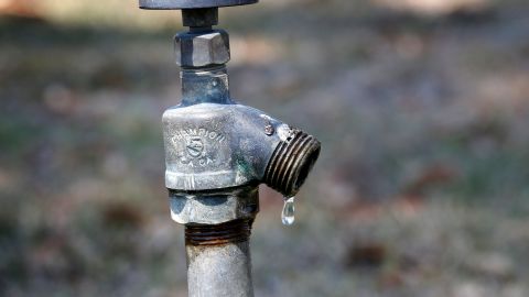 El concilio de Los Ángeles pide a DWP que vaya en contra de los que malgastan el agua.