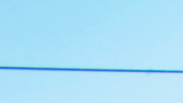 Agencias del orden federales y locales se unen para combatir la criminalidad en Compton.