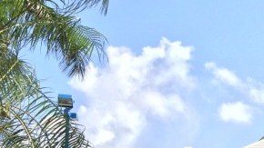 El promedio de ventas de vehículos nuevos por cada concesionario en 2014 fue de 921 unidades.