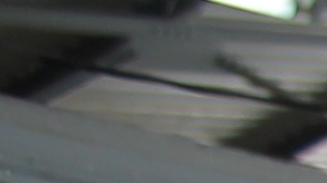 Chiles chinos ganan un 30% del mercado mexicano.