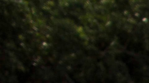 Los 43 estudiantes de Ayotzinapa llevan desaparecidos más de 11 meses.