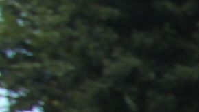 Periodistas han reclamado justicia con la muerte del reportero Rubén Espinosa.