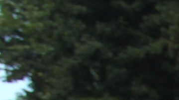 Periodistas han reclamado justicia con la muerte del reportero Rubén Espinosa.