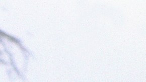 'E.T.' se proyectará con música en directo en el Hollywood Bowl el 4, 5 y 6 de septiembre. Es un estreno mundial.