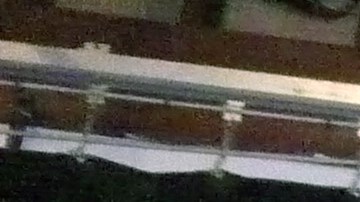 Francisco Herrera, cantautor y candidato a alcalde de San Francisco, se unió a las festividades en la lucha por la vivienda asequible en San Francisco.