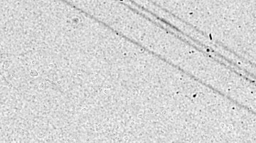 Elementos de la Guardia Nacional marchan por las calles de Watts en 1965.