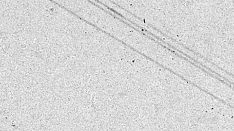 Elementos de la Guardia Nacional marchan por las calles de Watts en 1965.