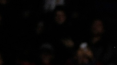 Los juveniles Cachorros de Chicago están dando mucho de qué hablar en esta temporada. Son uno de los equipos sorpresa.