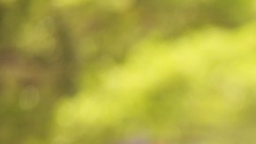 Para miles de personas, la universidad es la única esperanza para una vida mejor.