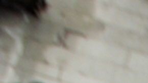 Manifestantes volvieron a pedir la renuncia del Presidente.